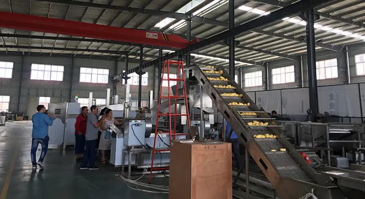 french fries processing plant design